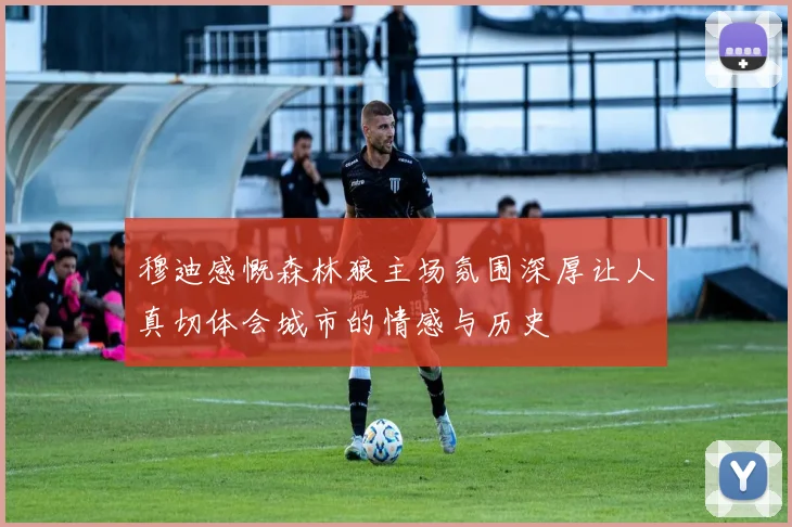 穆迪感慨森林狼主场氛围深厚让人真切体会城市的情感与历史